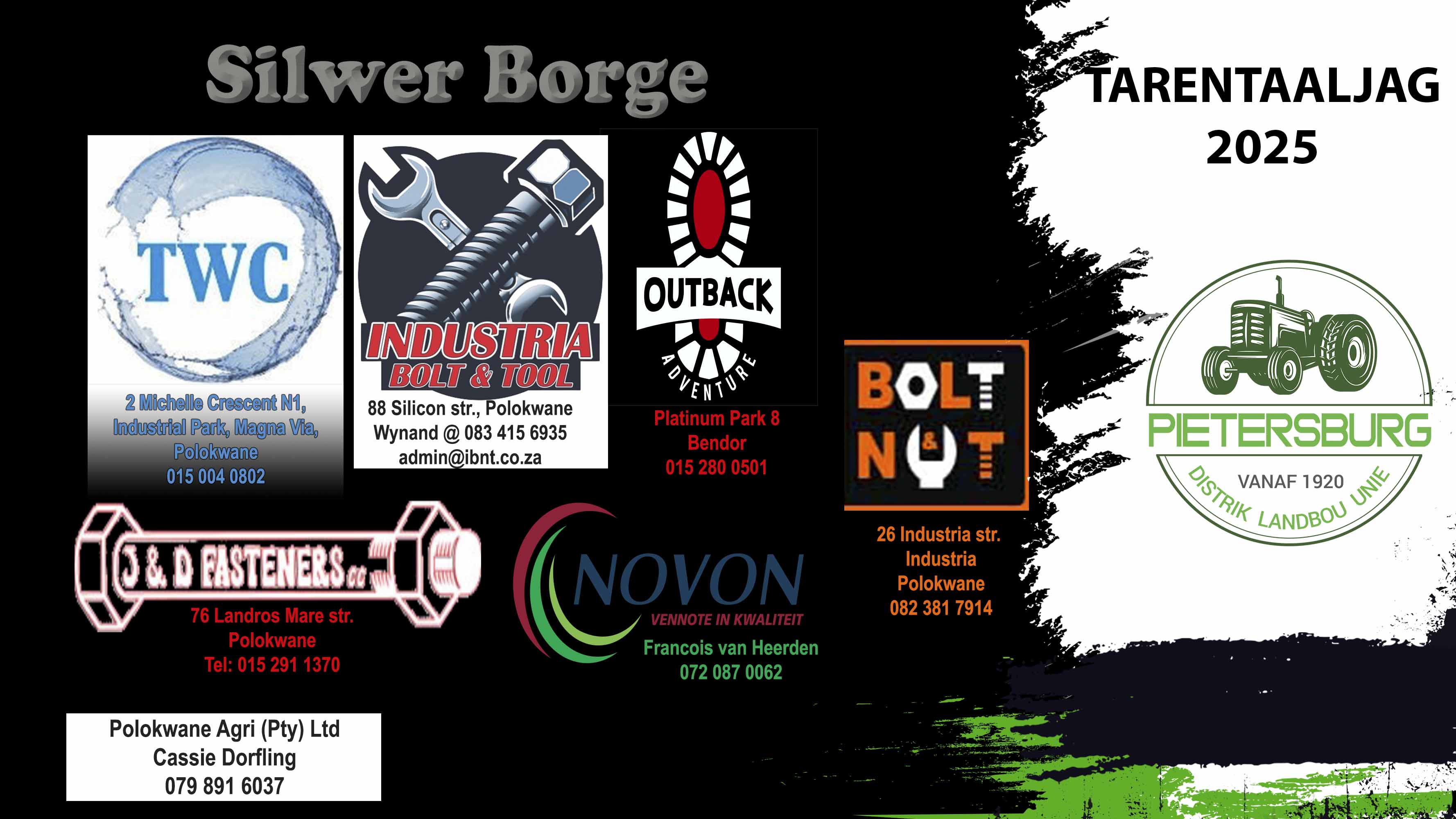 Silwer-borge borg